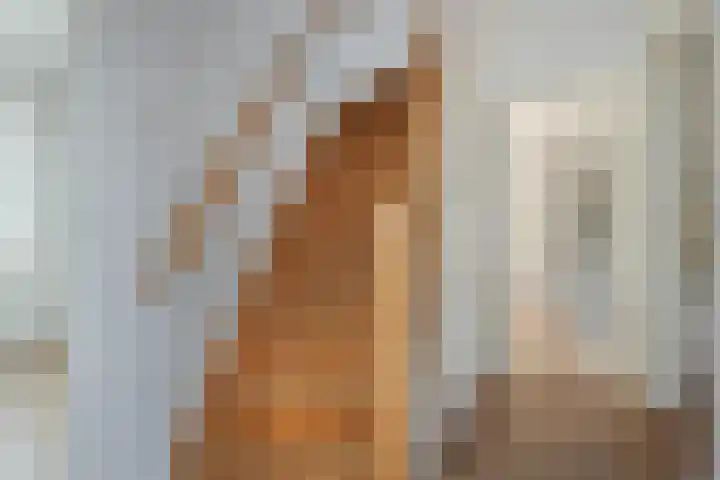 Koningin Wilhelminaweg 37 Oranjewoud thumbnail 13
