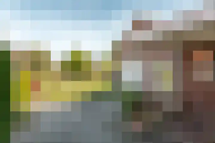 Koningin Wilhelminaweg 37 Oranjewoud thumbnail 25