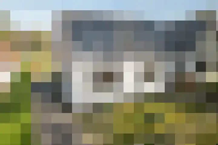 Koningin Wilhelminaweg 37 Oranjewoud thumbnail 27