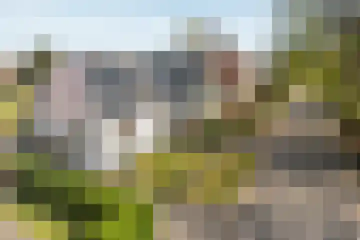 Koningin Wilhelminaweg 37 Oranjewoud thumbnail 29