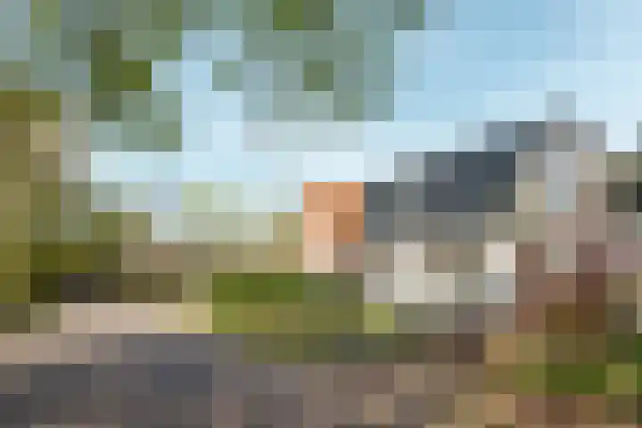 Koningin Wilhelminaweg 37 Oranjewoud thumbnail 32