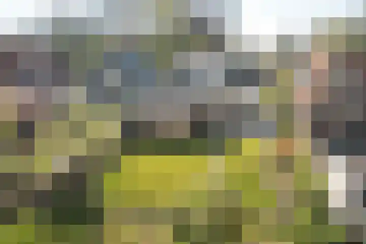 Koningin Wilhelminaweg 37 Oranjewoud thumbnail 33