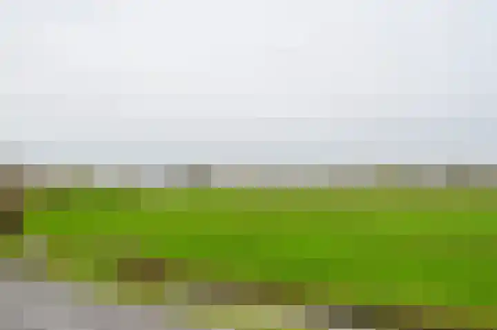 Koningin Wilhelminaweg 407 Groenekan thumbnail 10