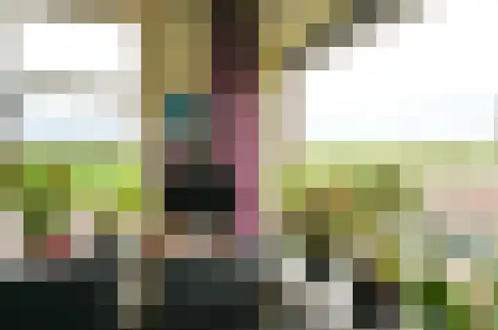Koningin Wilhelminaweg 407 Groenekan thumbnail 14