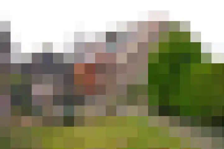 Koningin Wilhelminaweg 407 Groenekan thumbnail 4