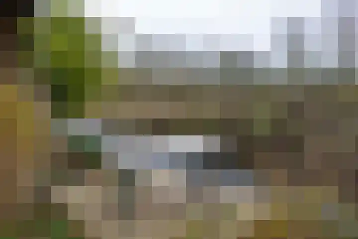 Koningin Wilhelminaweg 407 Groenekan thumbnail 7