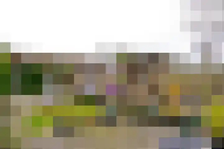 Koningin Wilhelminaweg 407 Groenekan thumbnail 8
