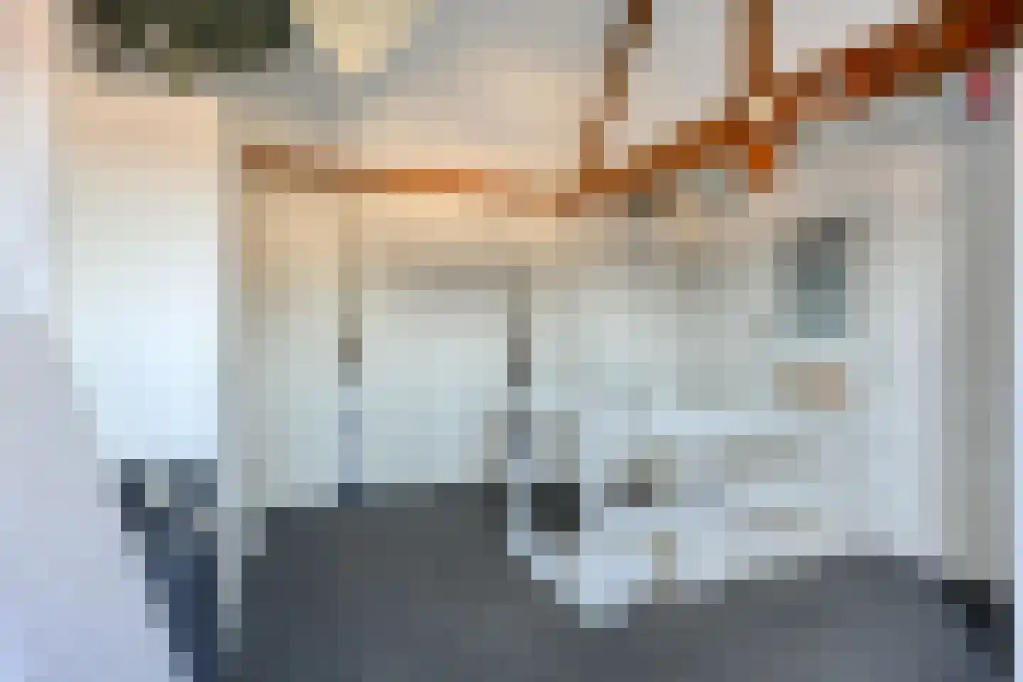 Koningin Wilhelminaweg 41 Zaltbommel thumbnail 29