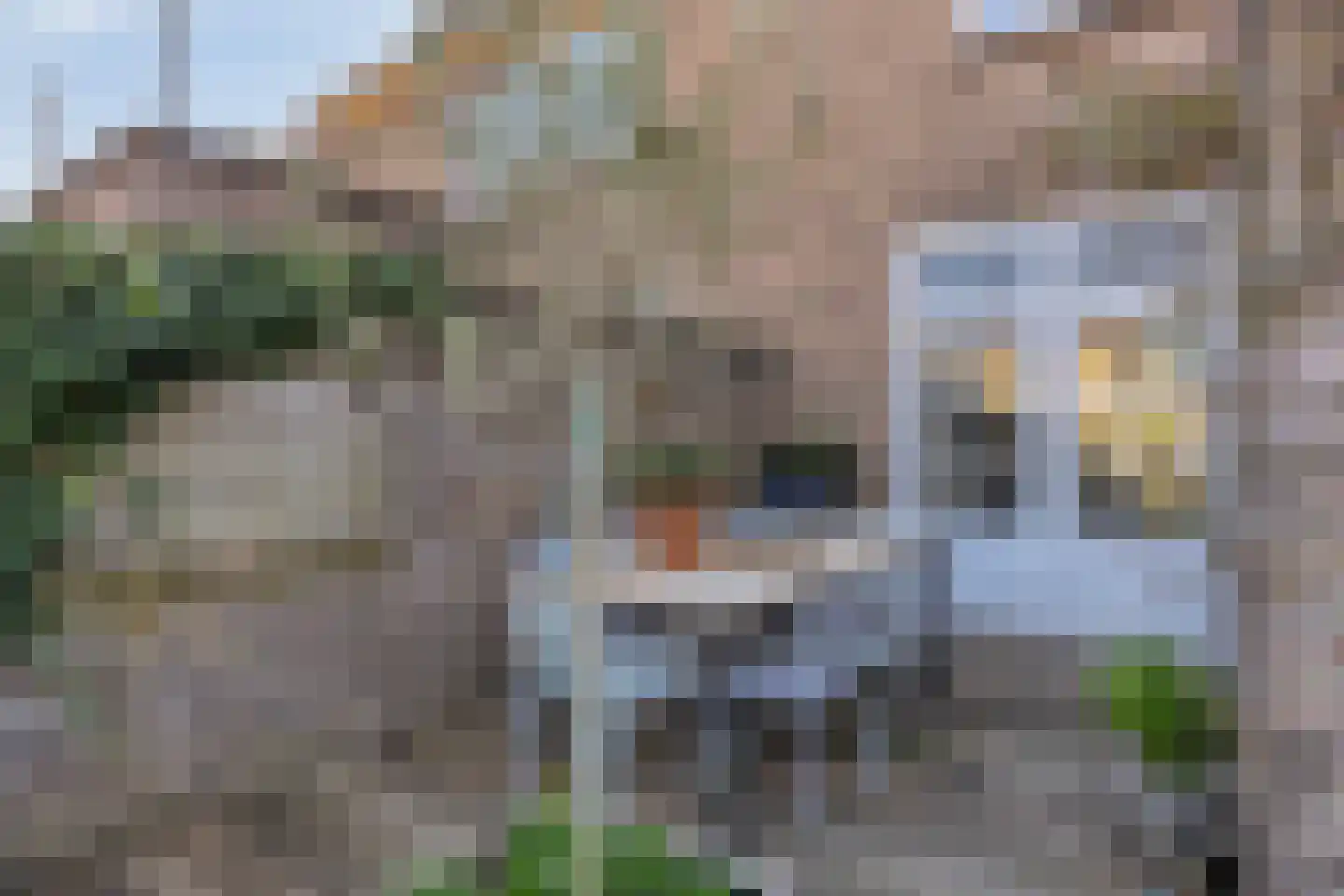 Koningin Wilhelminaweg 41 Zaltbommel thumbnail 33