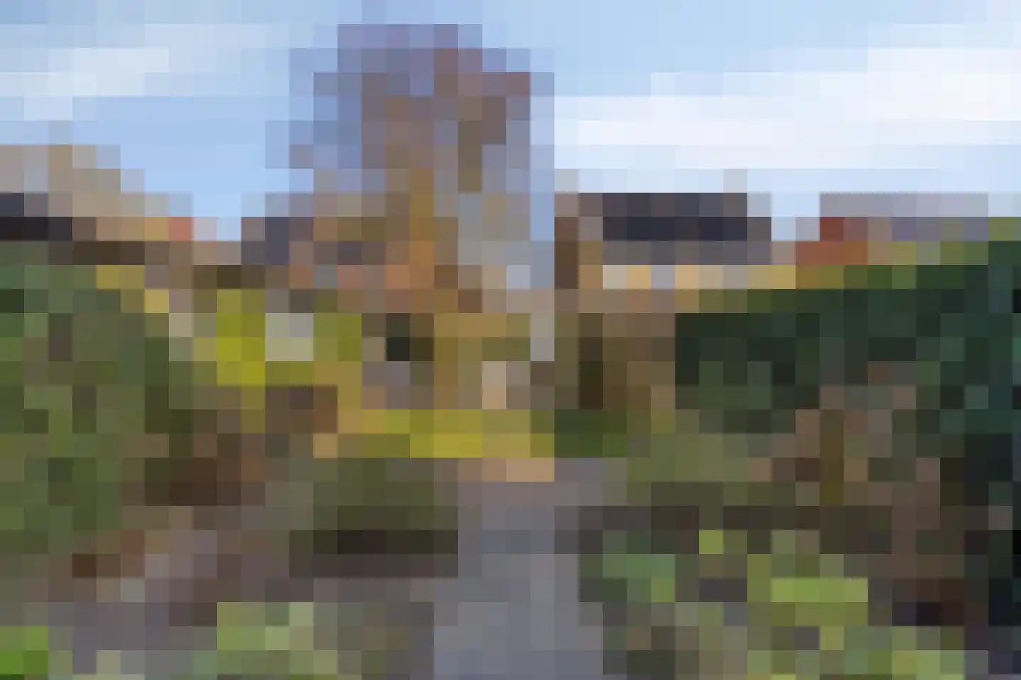 Koningin Wilhelminaweg 41 Zaltbommel thumbnail 36