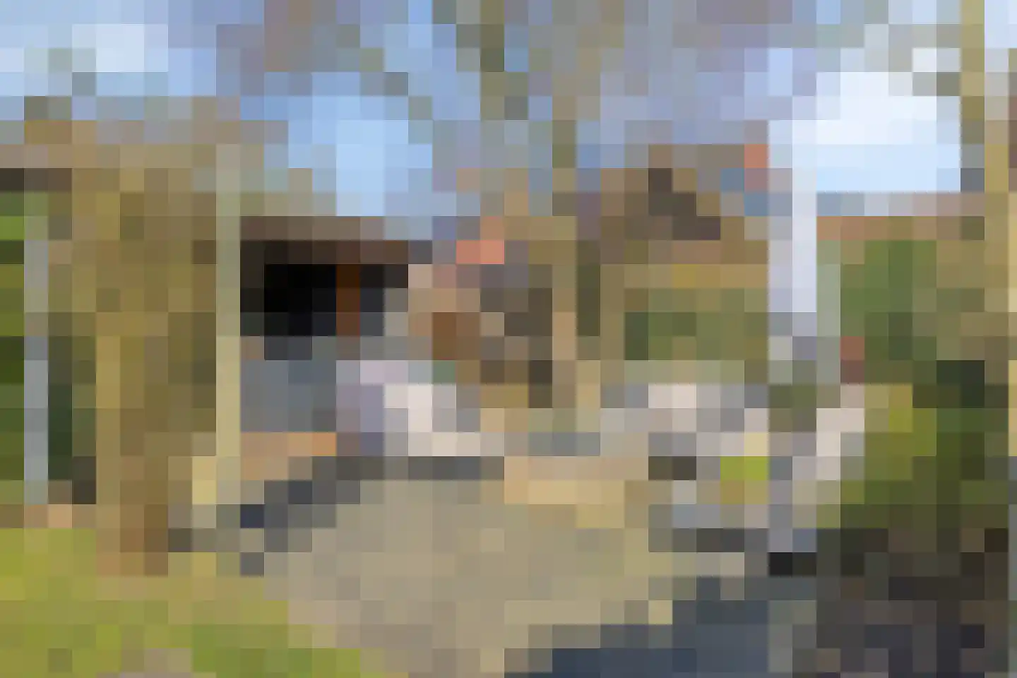Koningin Wilhelminaweg 41 Zaltbommel thumbnail 38