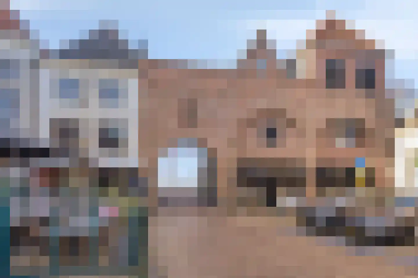 Koningin Wilhelminaweg 41 Zaltbommel thumbnail 49