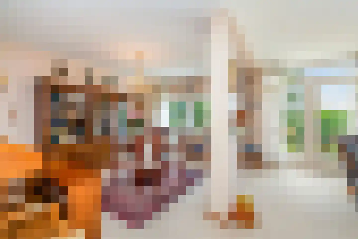 Koningin Wilhelminaweg 45 Alblasserdam thumbnail 10