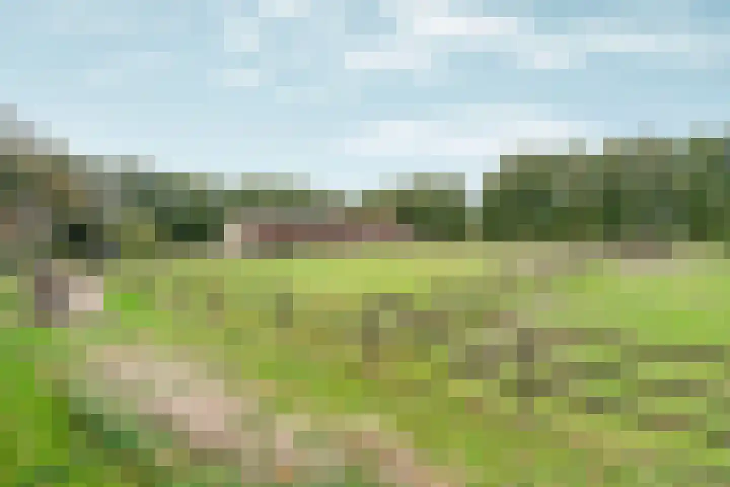 Koningin Wilhelminaweg 45 Groesbeek thumbnail 33