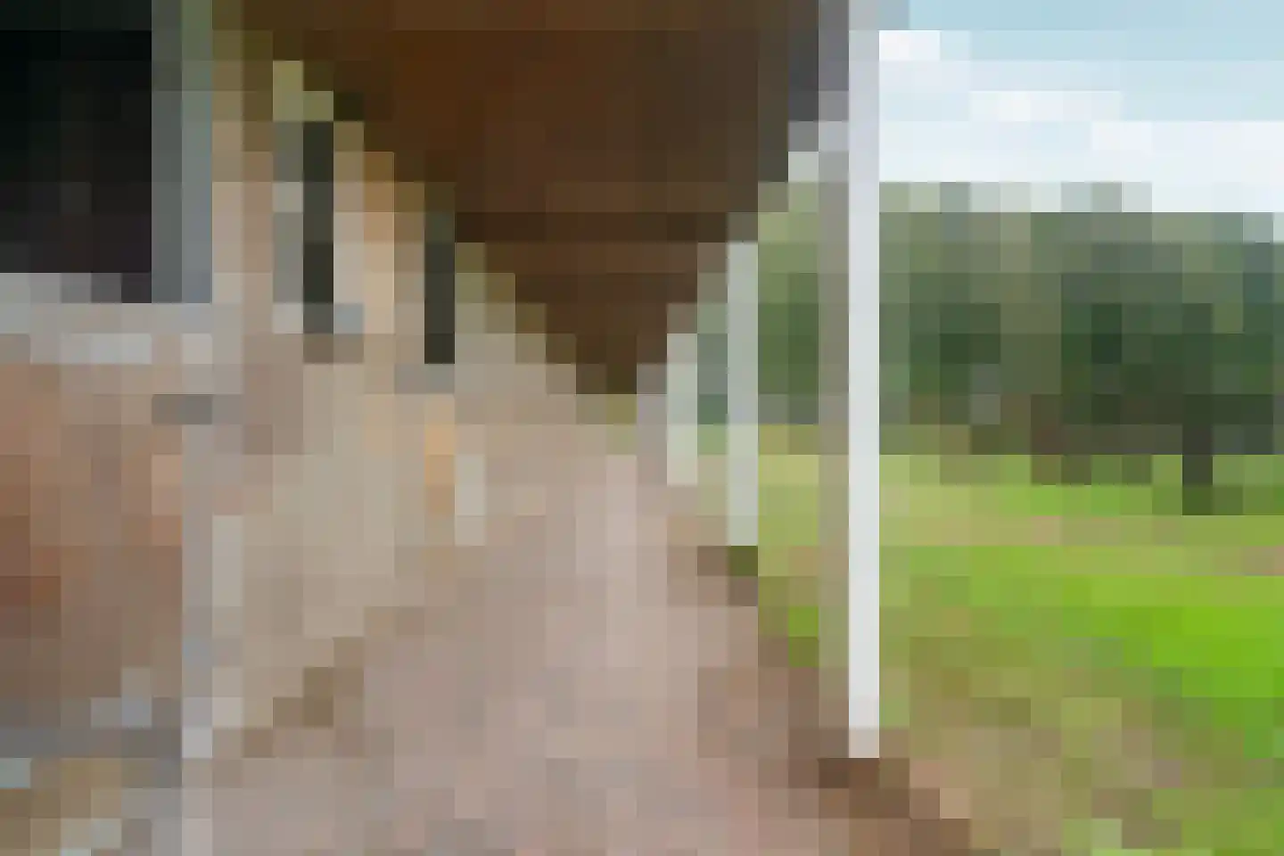 Koningin Wilhelminaweg 45 Groesbeek thumbnail 40
