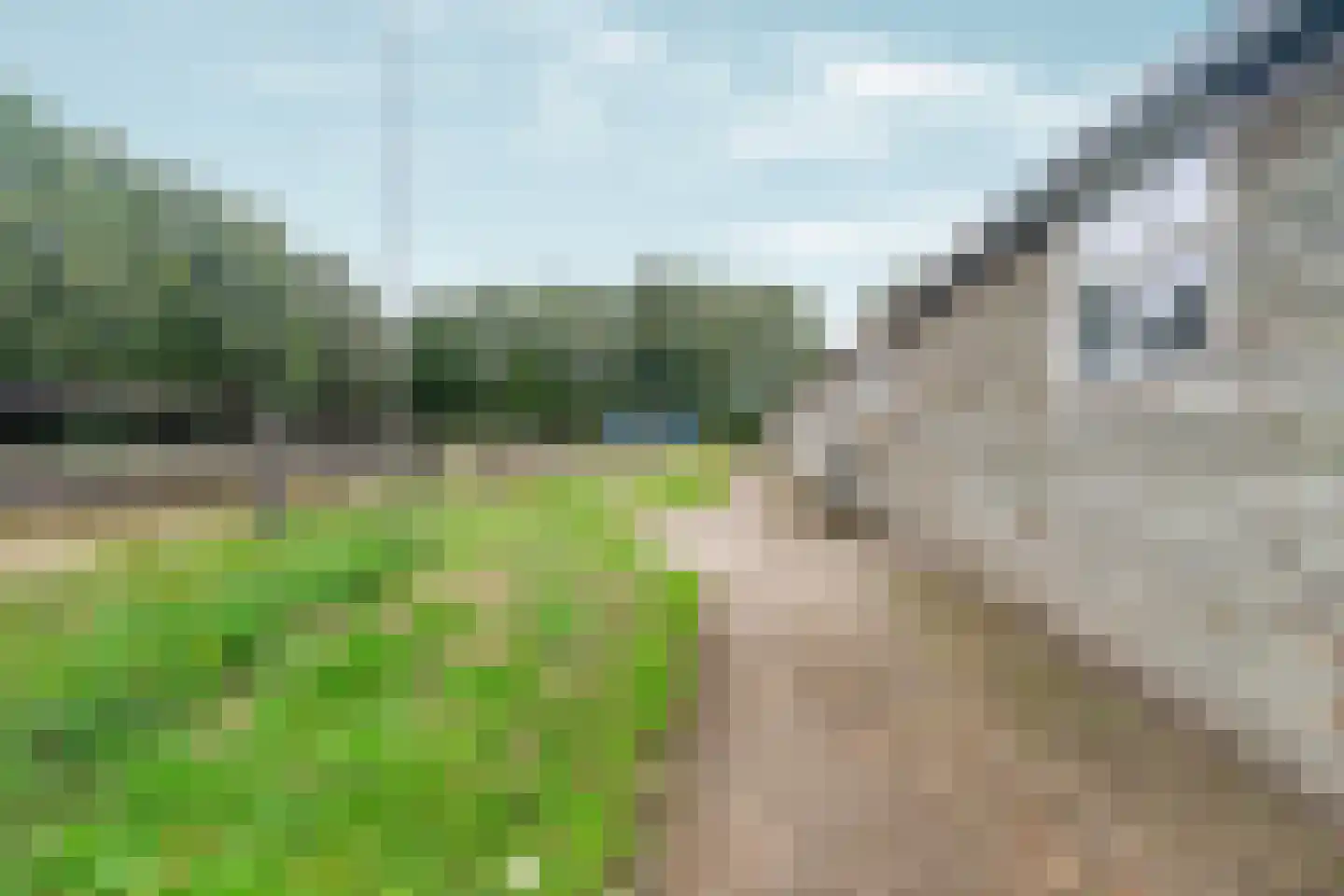 Koningin Wilhelminaweg 45 Groesbeek thumbnail 44