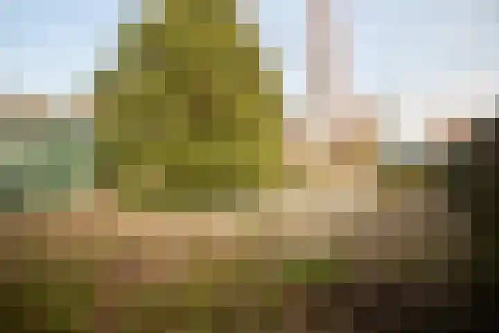 Koningin Wilhelminaweg 468 Groenekan thumbnail 33