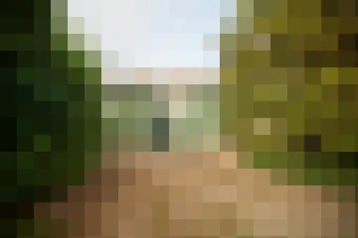 Koningin Wilhelminaweg 468 Groenekan thumbnail 34