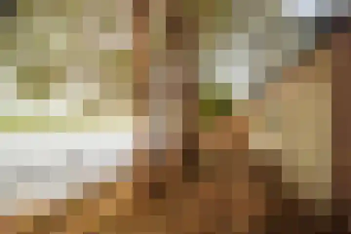 Koningin Wilhelminaweg 468 Groenekan thumbnail 37