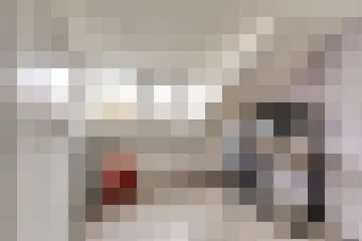 Koningin Wilhelminaweg 47 Gouda thumbnail 24
