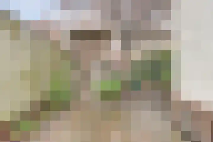 Koningin Wilhelminaweg 47 Gouda thumbnail 26