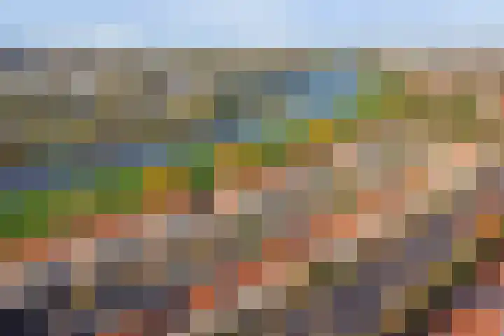 Koningin Wilhelminaweg 47 Gouda thumbnail 29