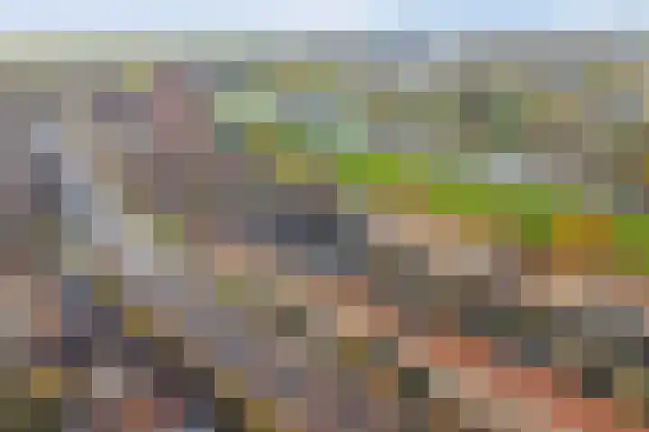 Koningin Wilhelminaweg 47 Gouda thumbnail 30