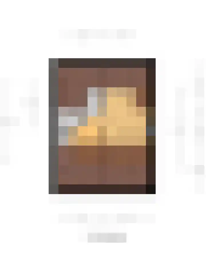 Koningin Wilhelminaweg 47 Gouda thumbnail 33