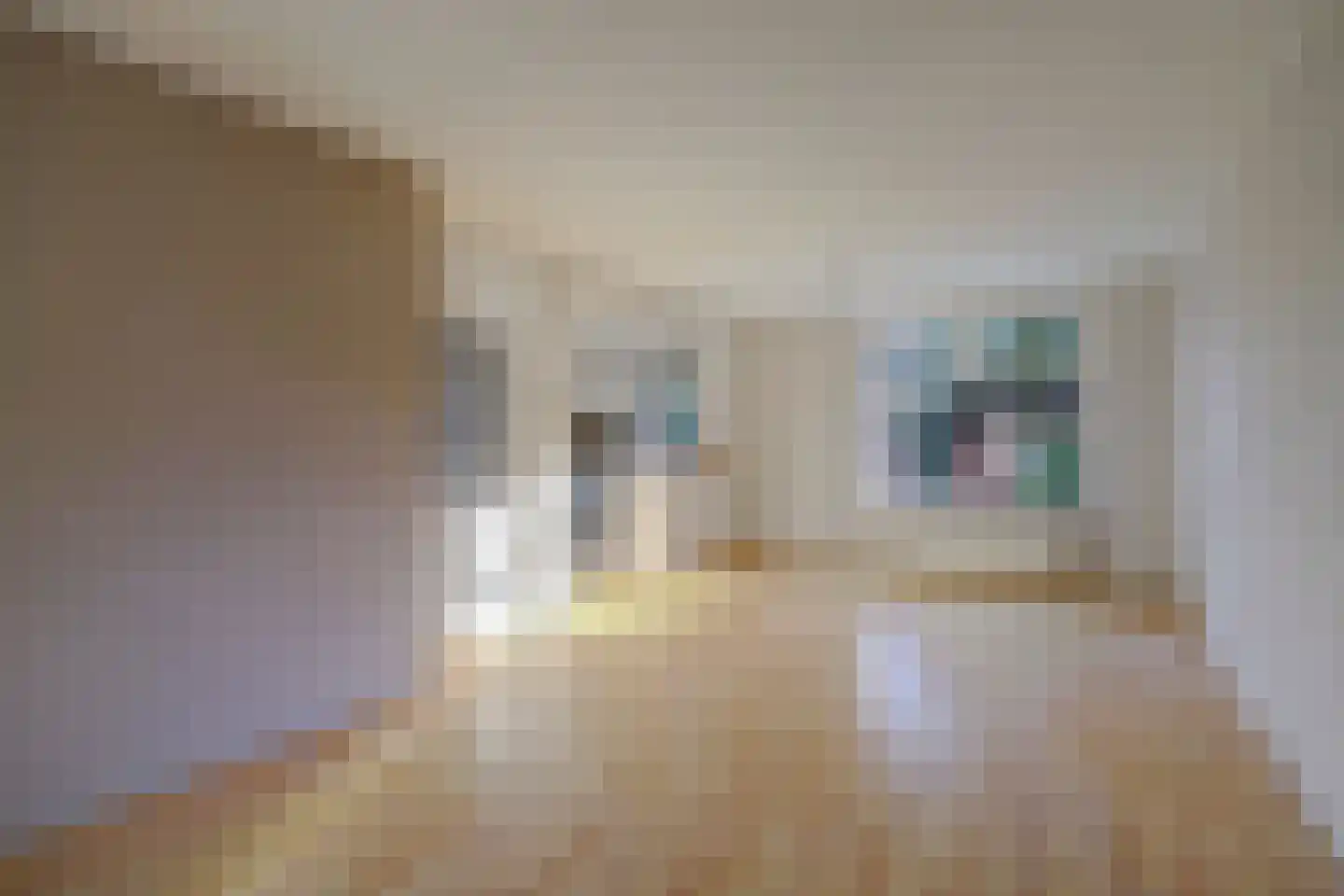 Koningin Wilhelminaweg 6 Houten thumbnail 19