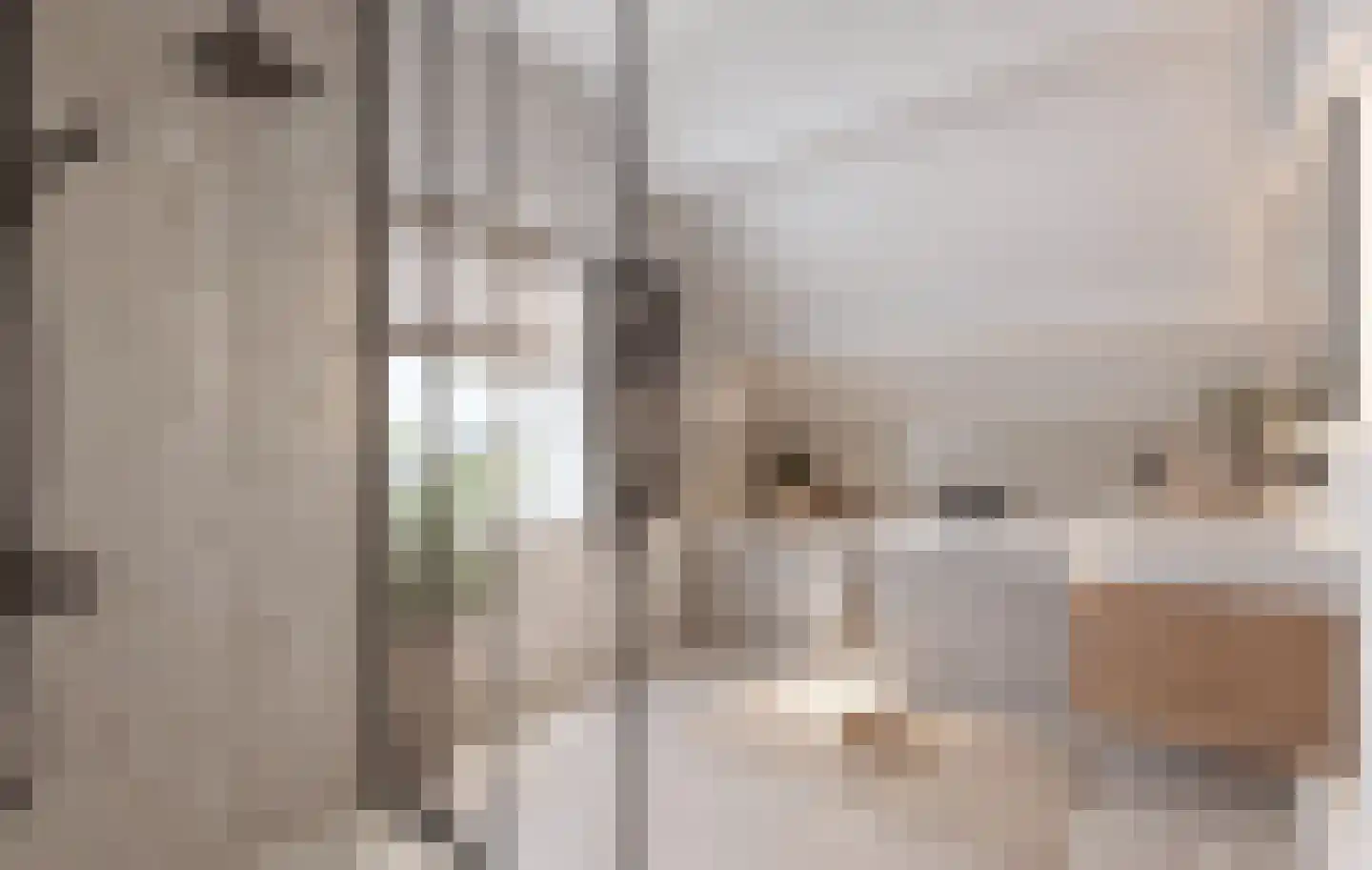 Koningin Wilhelminaweg 6 Houten thumbnail 33