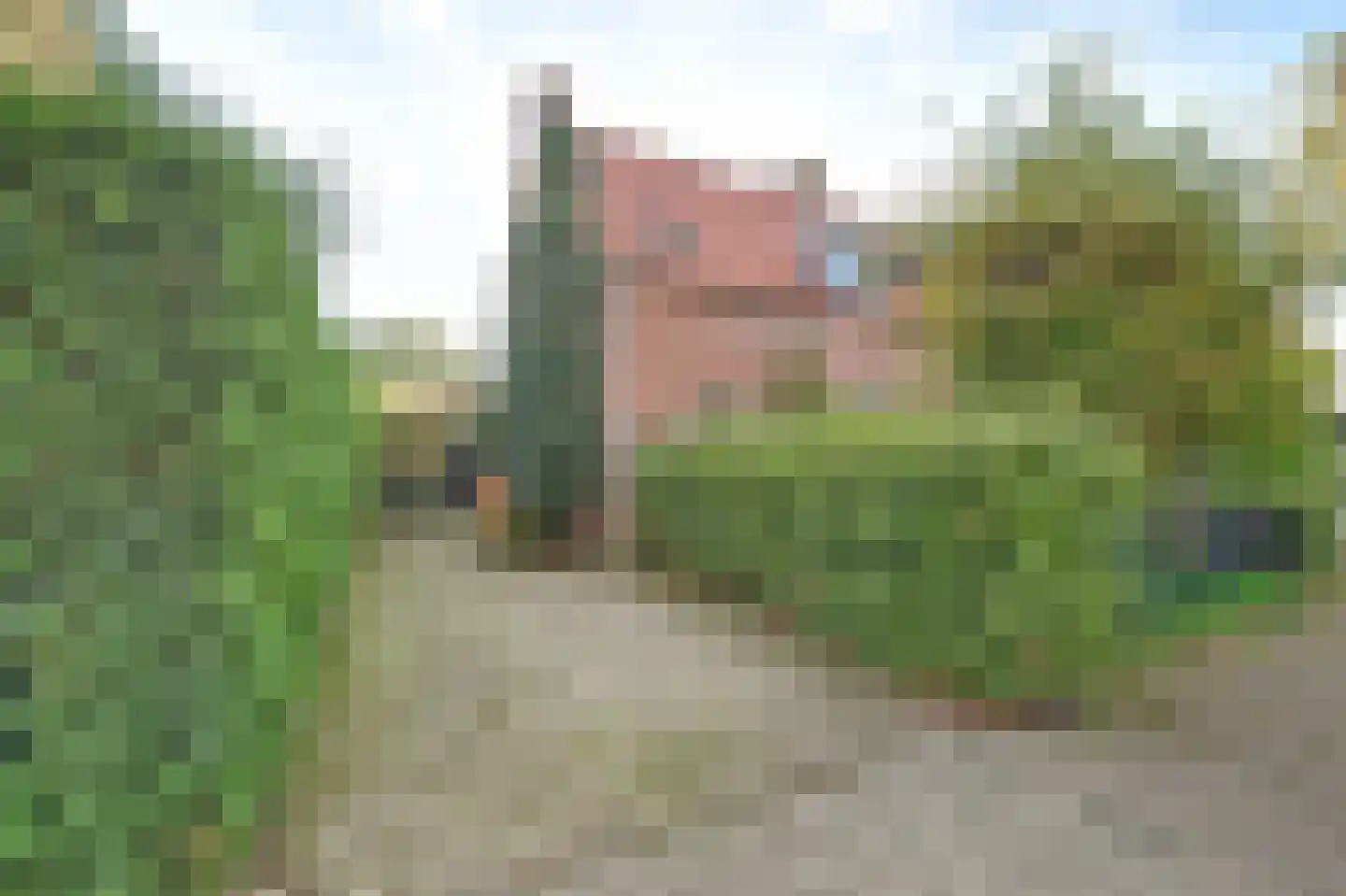 Koningin Wilhelminaweg 6 Houten thumbnail 5