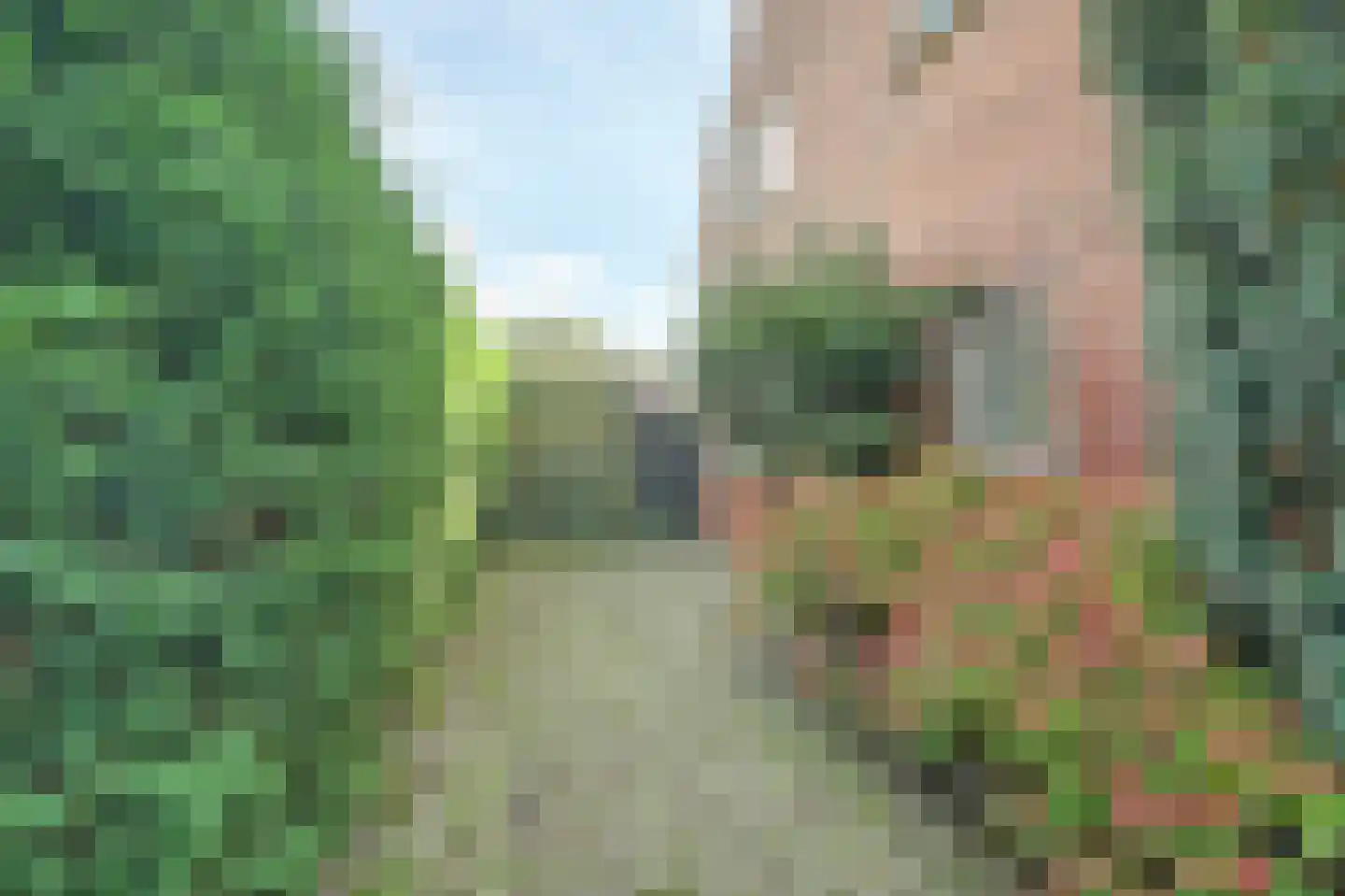 Koningin Wilhelminaweg 6 Houten thumbnail 6