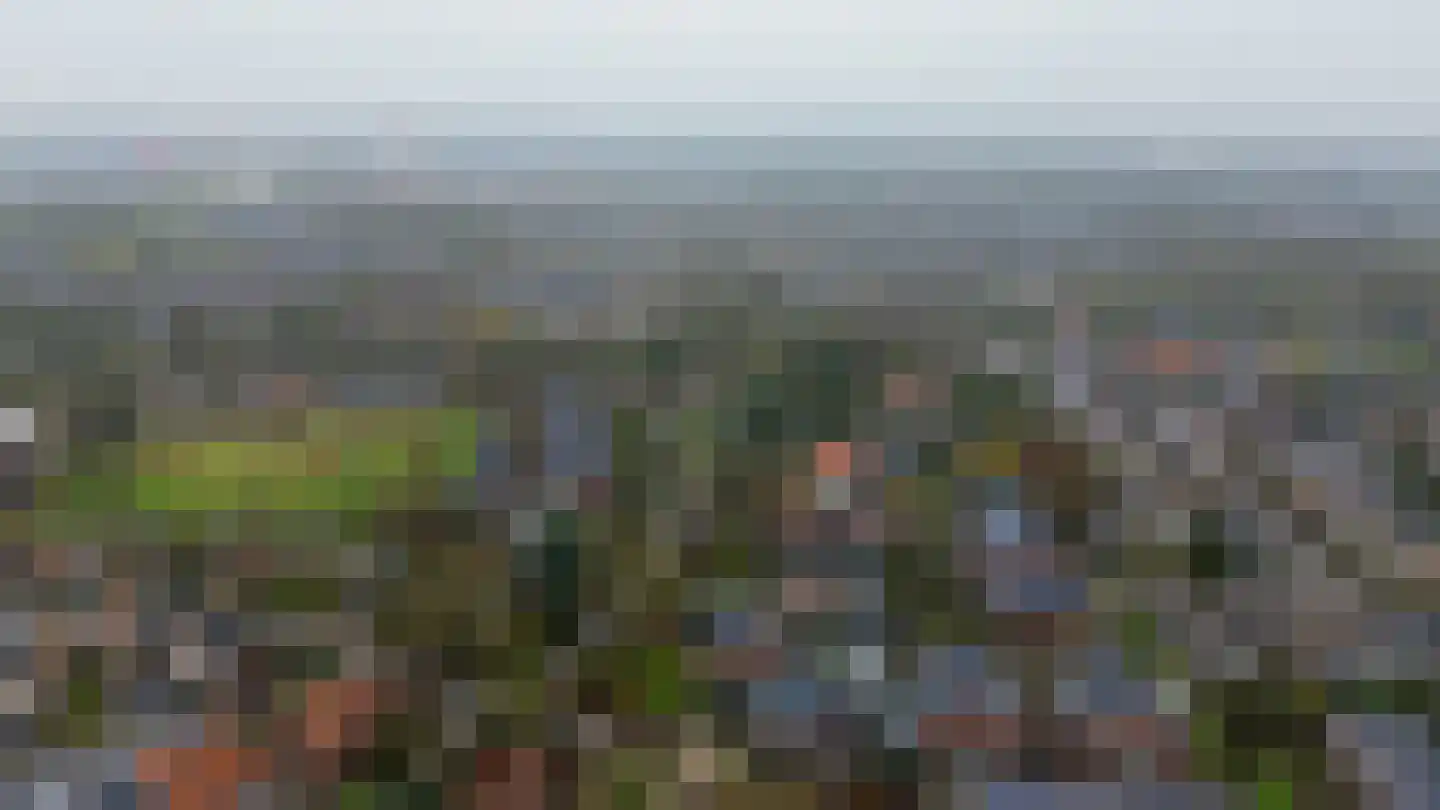 Koningin Wilhelminaweg 61 Houten thumbnail 42