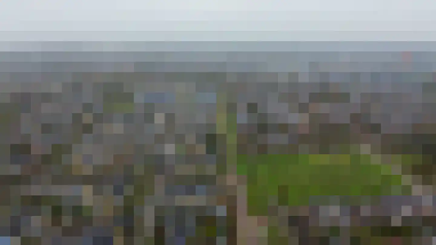 Koningin Wilhelminaweg 61 Houten thumbnail 43