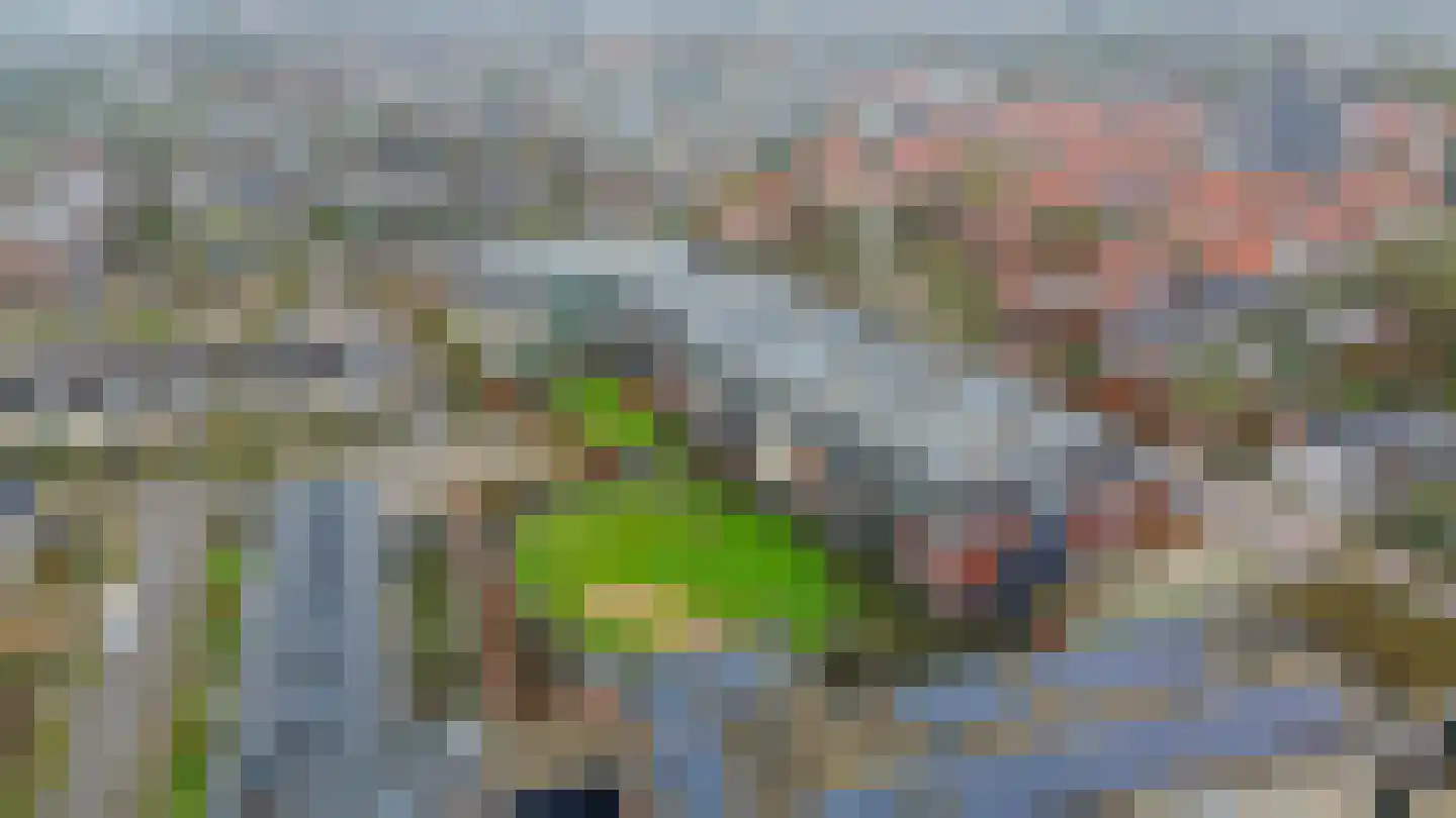 Koningin Wilhelminaweg 61 Houten thumbnail 49