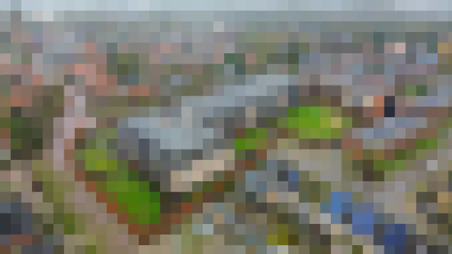 Koningin Wilhelminaweg 61 Houten thumbnail 51
