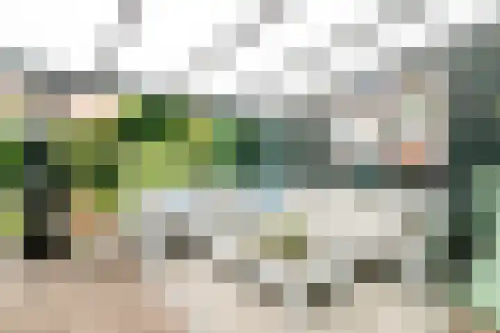 Koningin Wilhelminaweg 74 Zaltbommel thumbnail 31