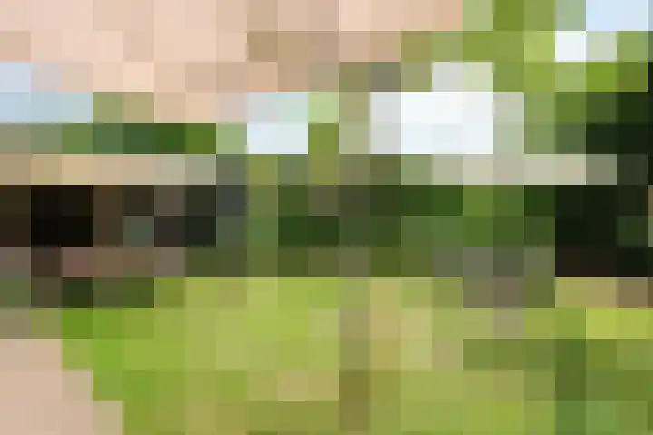 Koningin Wilhelminaweg 74 Zaltbommel thumbnail 33