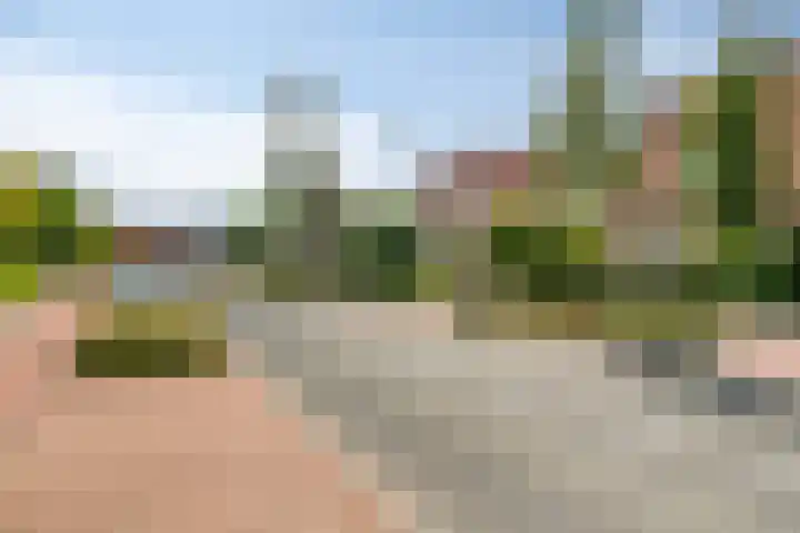 Koningin Wilhelminaweg 74 Zaltbommel thumbnail 38