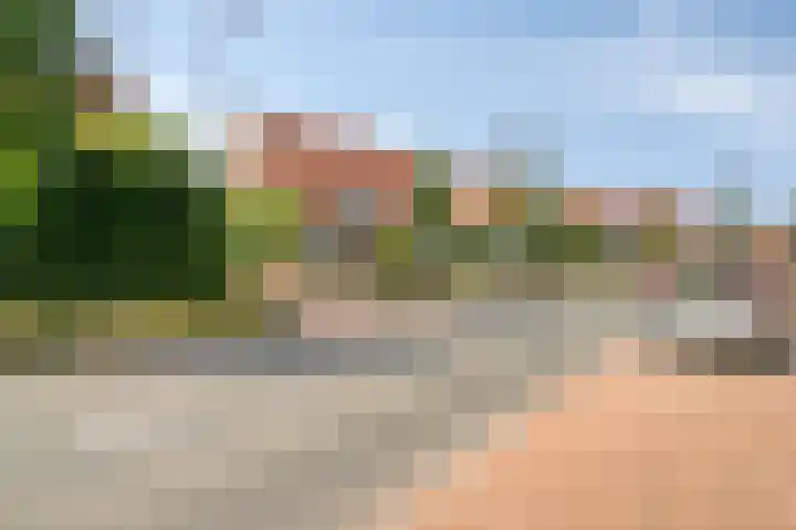 Koningin Wilhelminaweg 74 Zaltbommel thumbnail 39