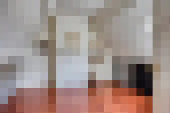Koningin Wilhelminaweg 76 Zaltbommel thumbnail 22