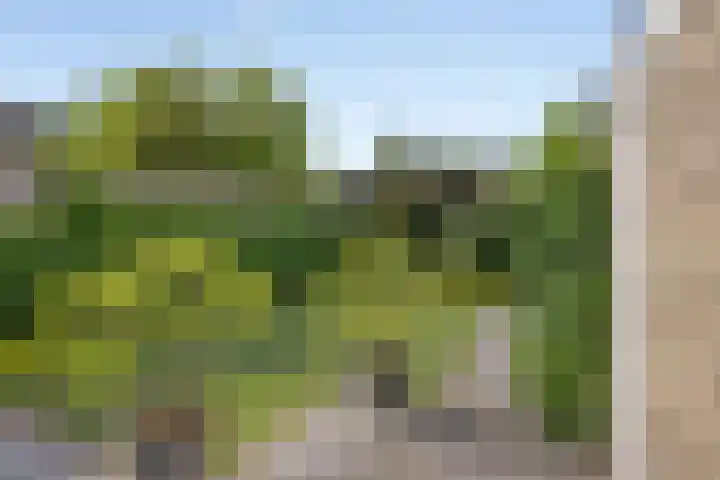 Koningin Wilhelminaweg 76 Zaltbommel thumbnail 25