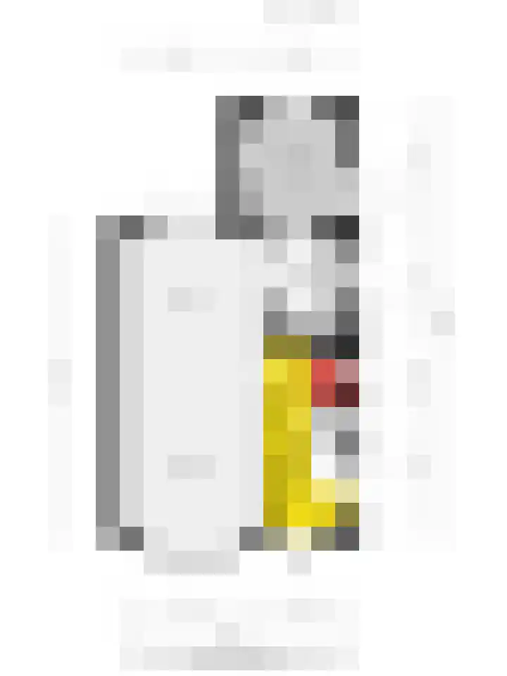 Koningin Wilhelminaweg 76 Zaltbommel thumbnail 31