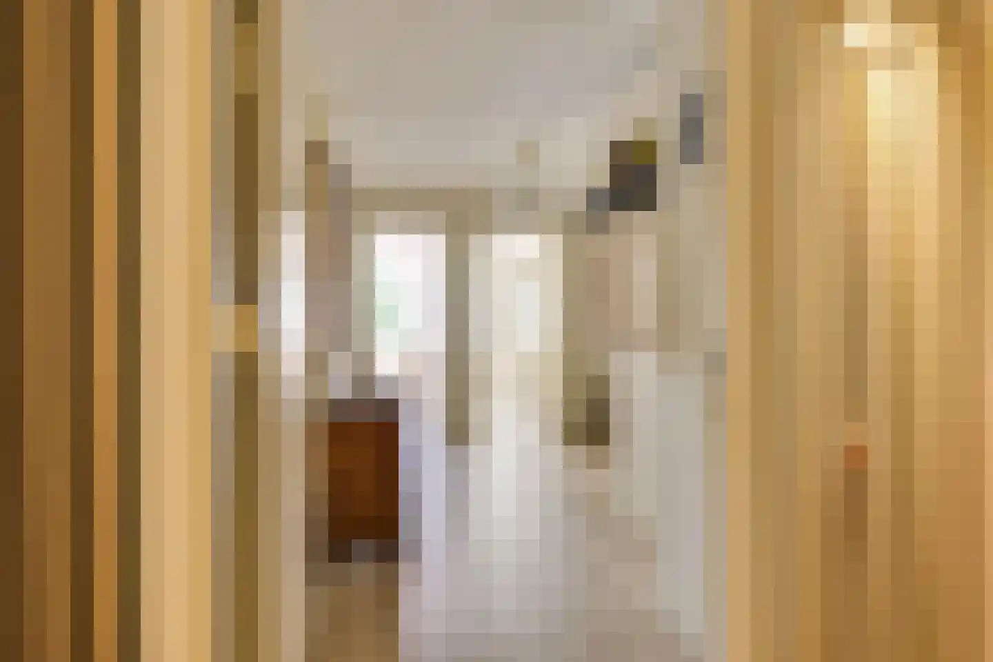 Koningin Wilhelminaweg 77 Houten thumbnail 14