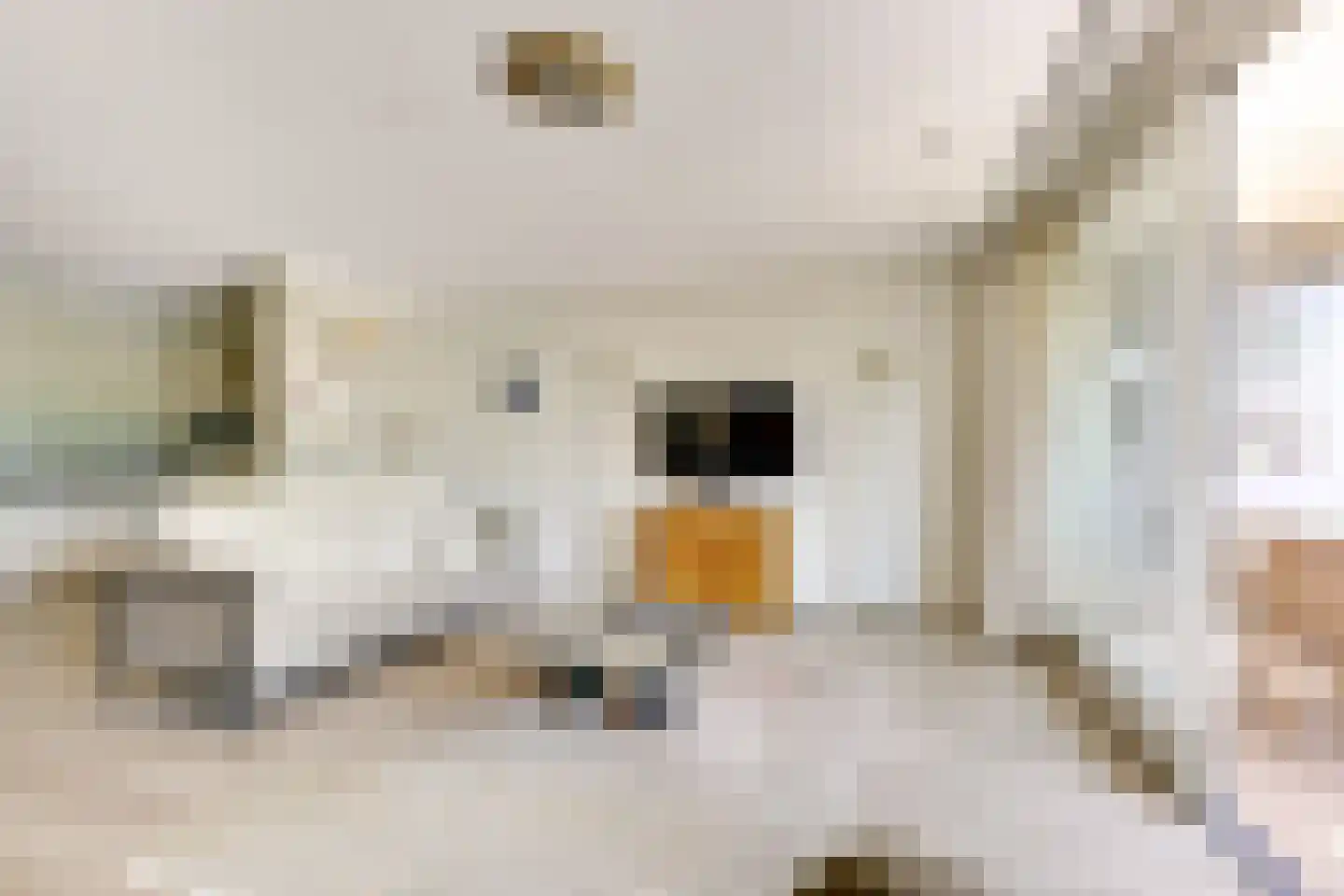 Koningin Wilhelminaweg 77 Houten thumbnail 20