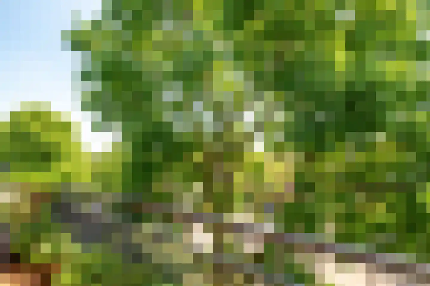 Koningin Wilhelminaweg 77 Houten thumbnail 28