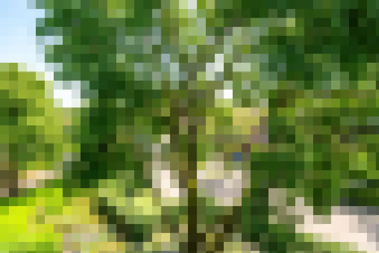 Koningin Wilhelminaweg 77 Houten thumbnail 29