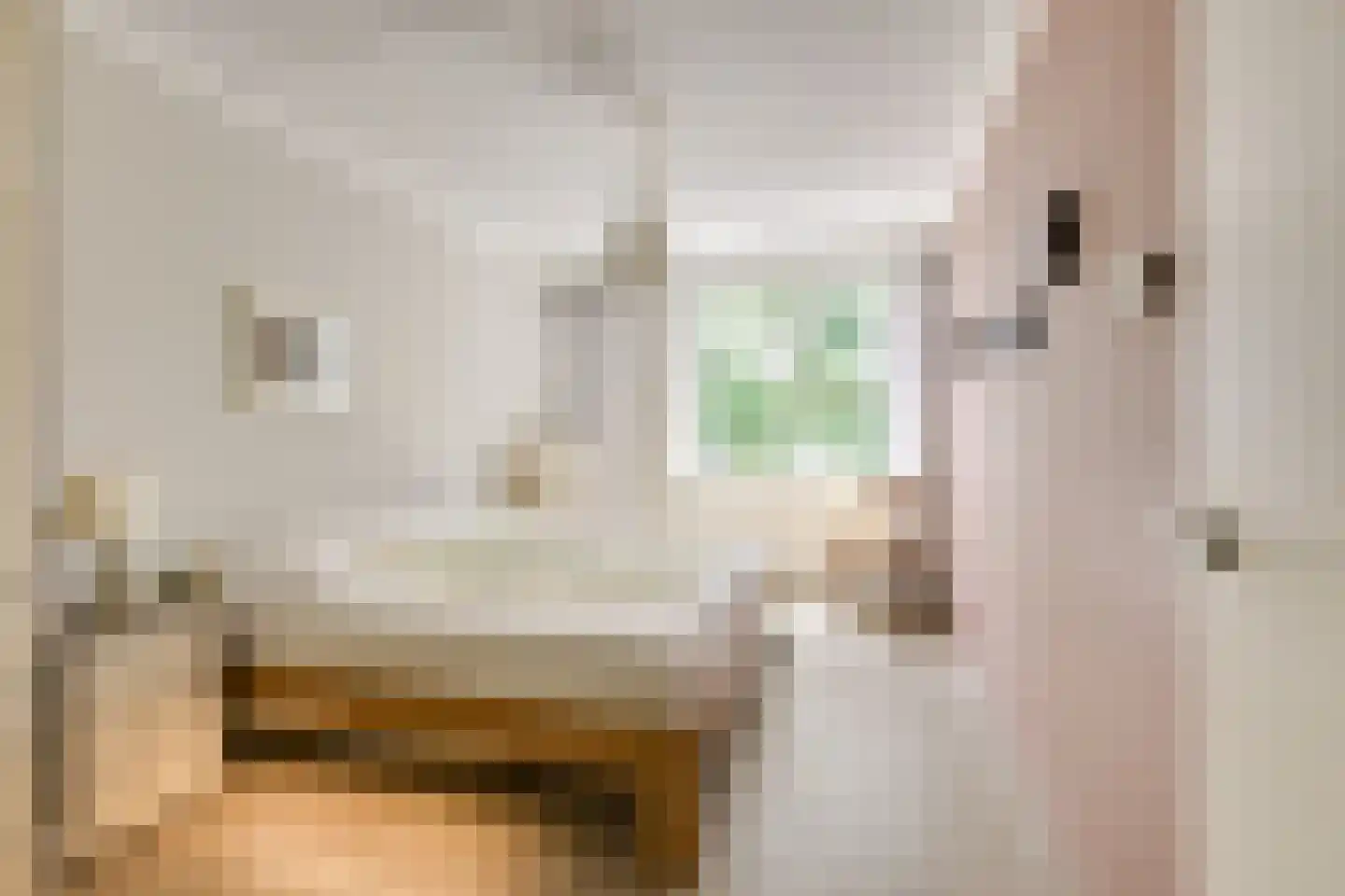 Koningin Wilhelminaweg 77 Houten thumbnail 34