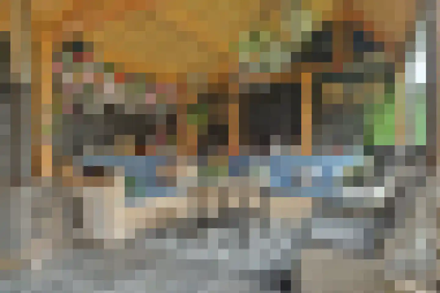 Koningin Wilhelminaweg 8 Slootdorp thumbnail 32