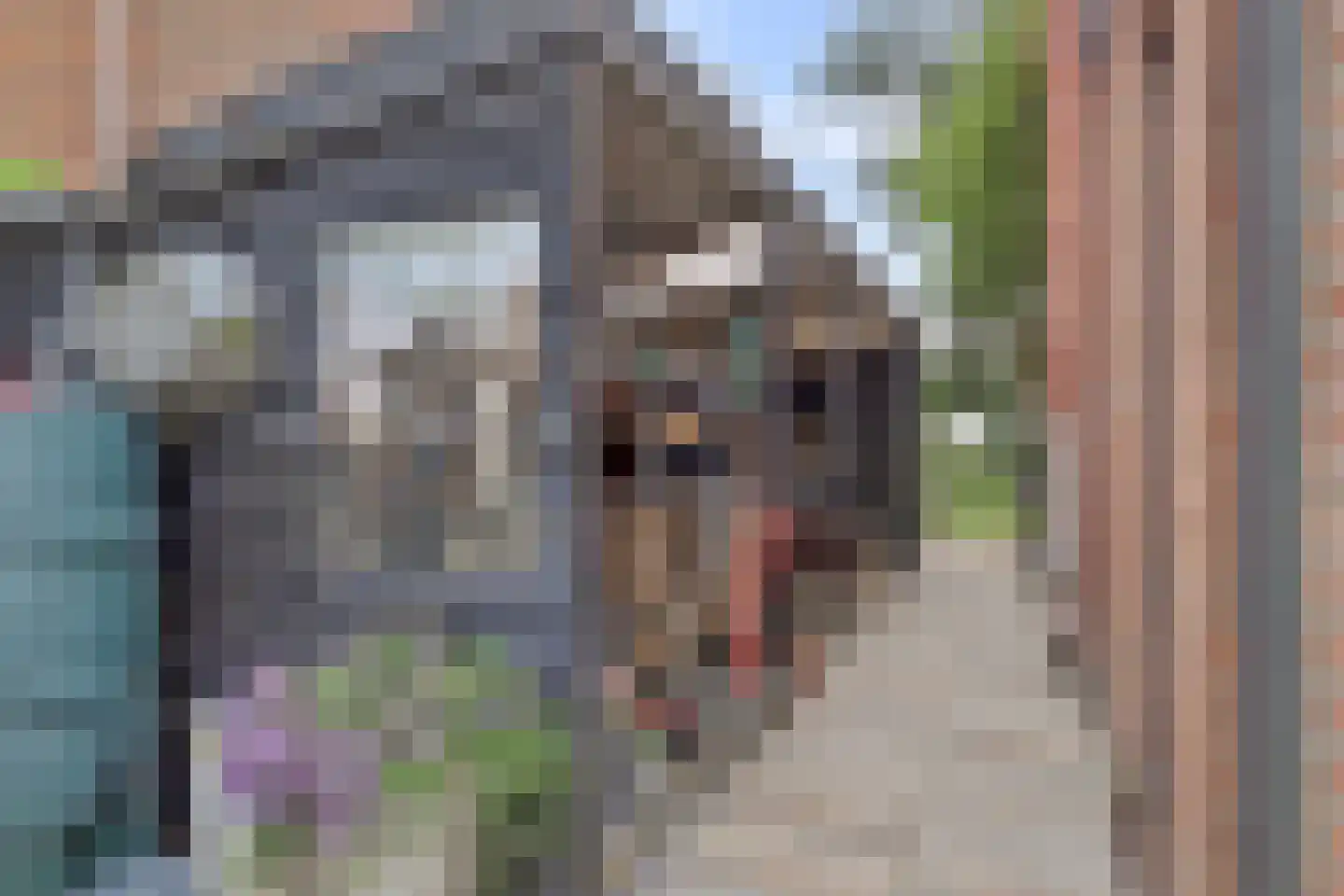 Koningin Wilhelminaweg 8 Slootdorp thumbnail 33